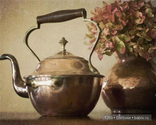 фотографии Клер Брокато (Claire Brocato)