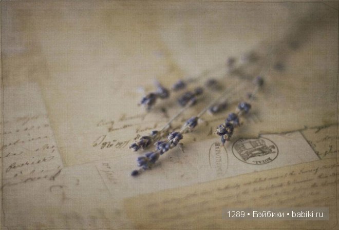 фотографии Клер Брокато (Claire Brocato)