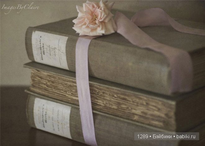 фотографии Клер Брокато (Claire Brocato)