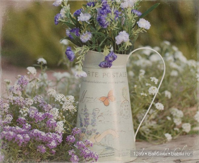 фотографии Клер Брокато (Claire Brocato)