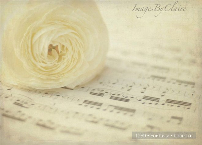 Нежное обаяние фотографий Клер Брокато (Claire Brocato) (фото 3)