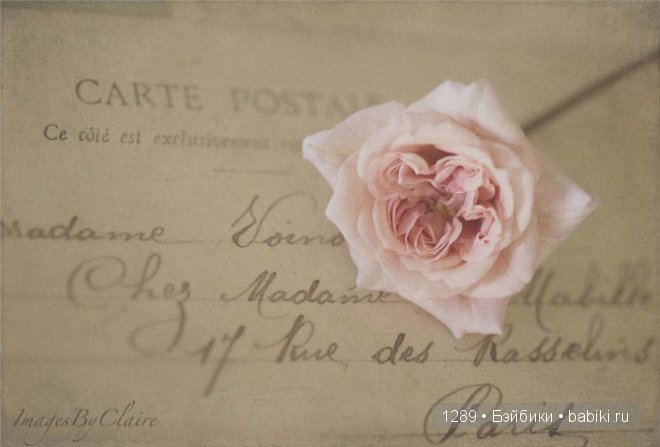 фотографии Клер Брокато (Claire Brocato)