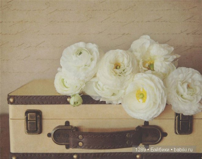 фотографии Клер Брокато (Claire Brocato)