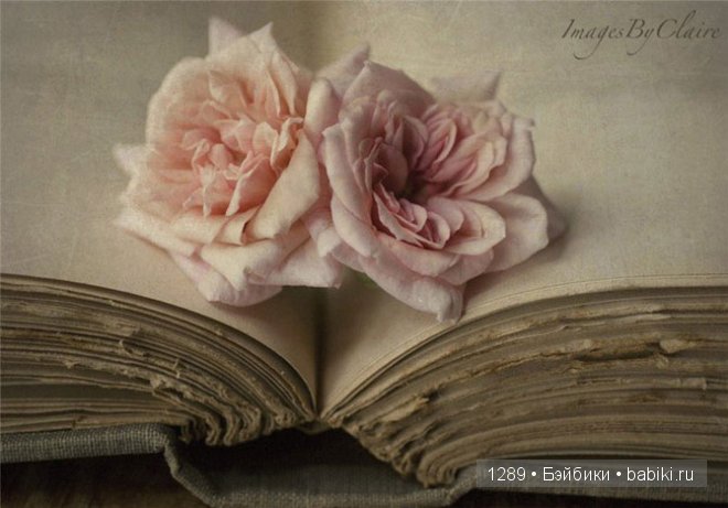 Нежное обаяние фотографий Клер Брокато (Claire Brocato) (фото 2)