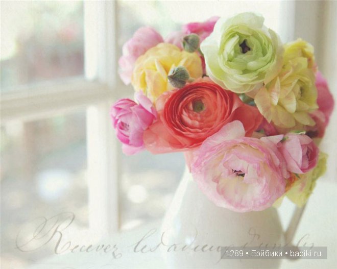 фотографии Клер Брокато (Claire Brocato)