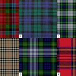 История клетчатой ткани