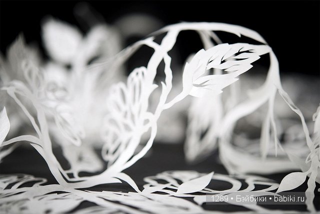 Бумажные кружева. Работы Карен Бит Вайле (Karen Bit Vejle)