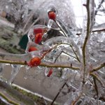 Стеклянный город...