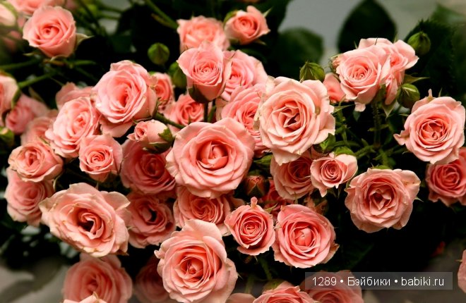 Работы Бранки Шарли (Branka Schärli) в Музее антикварных кукол в Париже