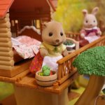 С Новым годом! Чудеса в сказочной стране.