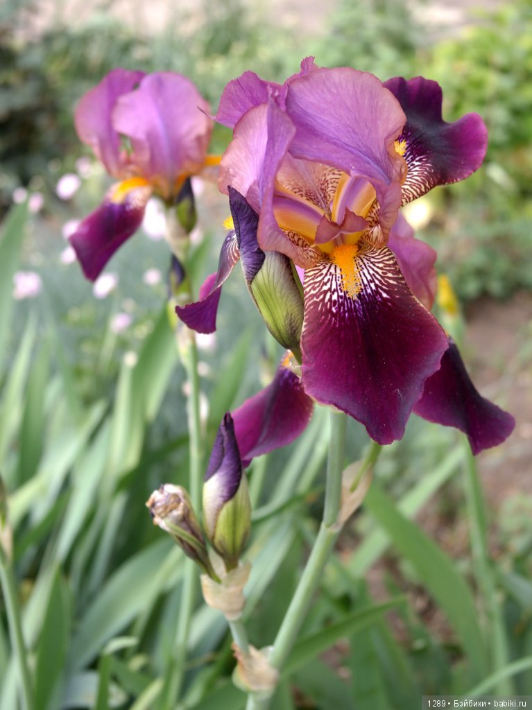 Стойка для одежды превращается (фото 2)