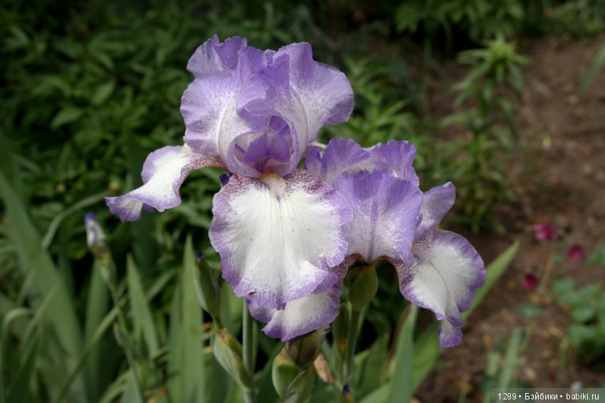 Стойка для одежды превращается