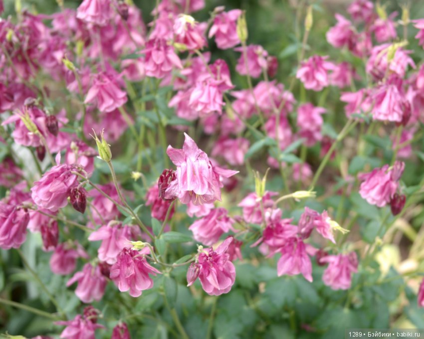 Стойка для одежды превращается (фото 3)