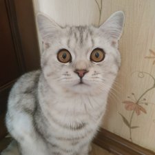 Гостей с такими подарками надо гнать поганой метлой! Или не надо?