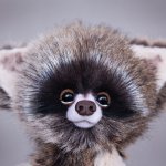 Еще один полосатый хвостик, енотик Джозеф