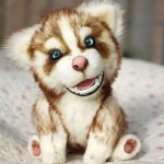 Шоколадный хаски Тофи