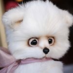 Арктический Лисенок Иэн