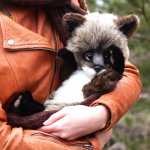 Енотьи прогулки. Авторские игрушки ручной работы Татьяны Матляк