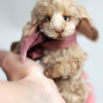 Зайки, авторские игрушки ручной работы Татьяны Матляк