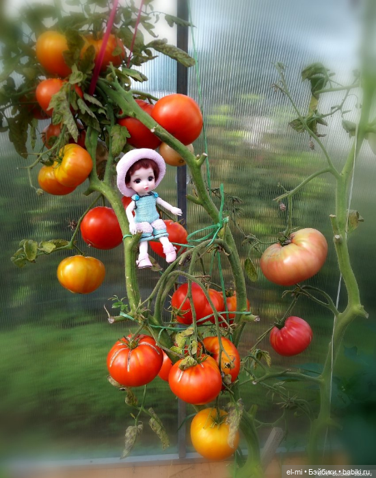 Люблю, люблю, но как сказать не знаю.. Мои баболечки