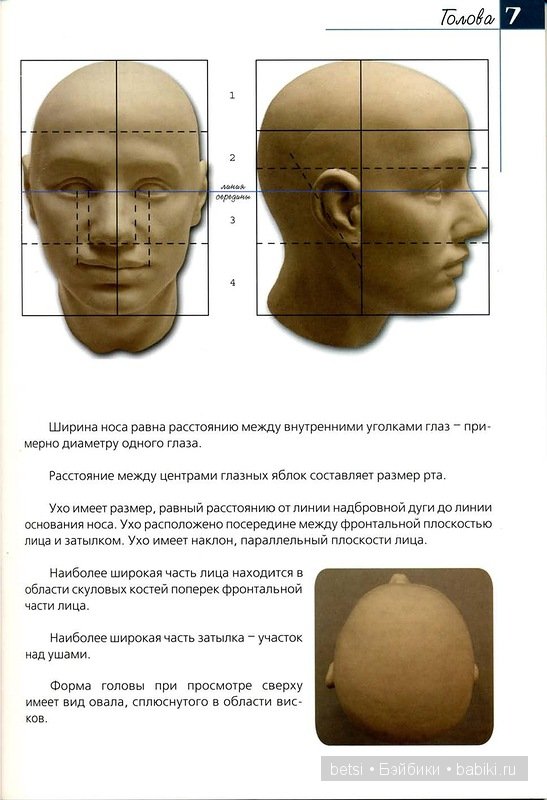 Основы кукольной скульптуры (фото 8)