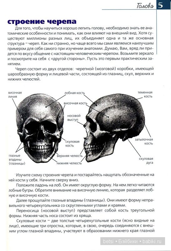 Основы кукольной скульптуры (фото 6)