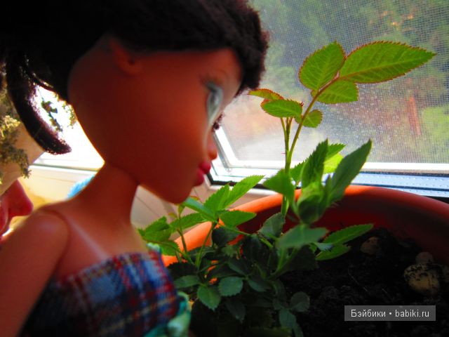 Мокси,наиля,кукла Мокси,наиля,кукла