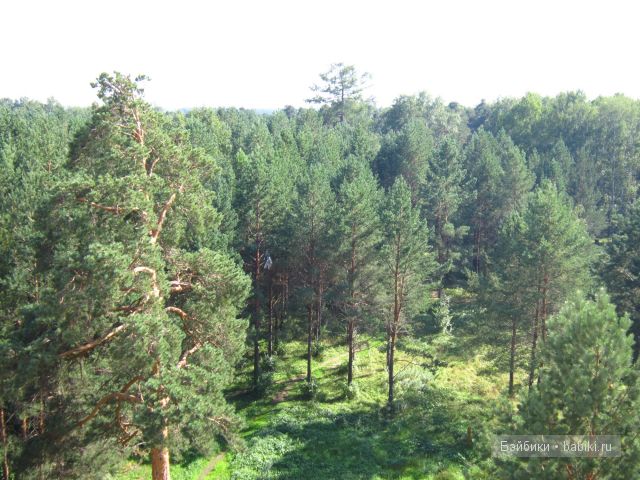 Мокси,наиля,кукла Мокси,наиля,кукла