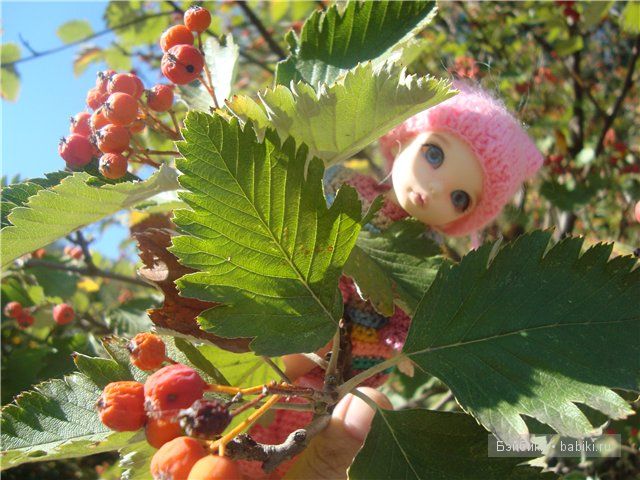 бжд, куколка, анте, Манечка бжд, куколка, анте, Манечка