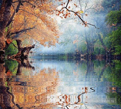 Маня, пукифи, куколка бжд Маня, пукифи, куколка бжд