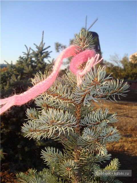 осень, Манечка, бжд Анте, фотоотчет осень, Манечка, бжд Анте, фотоотчет