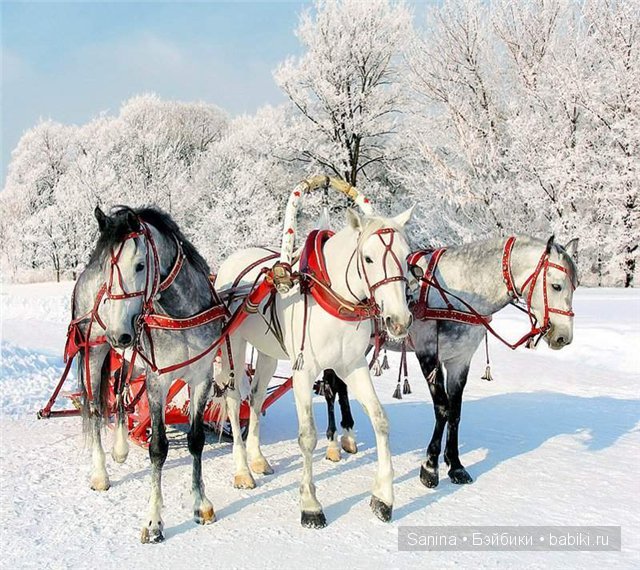 бжд Манечка, анте, резинсоул Bei, реалпуки Фаня