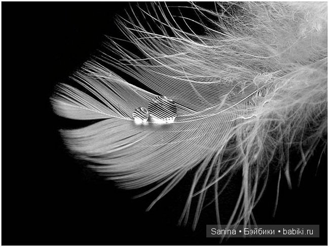 Сон в летний полдень. А сон ли? Софи (Larina от DIM) (фото 9)