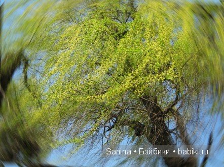 Топик о кукле, которой нет... или Обратная сторона луны... (BJD) | Бэйбики Топик о кукле, которой нет... или Обратная сторона луны... (BJD) (фото 7)