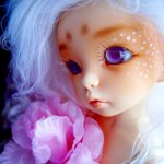 Волшебство? Да, своими руками! Литлфи Анте. Гибридизация. Мейк-ап.