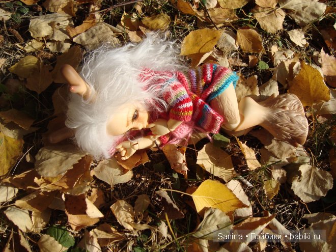 Погожий осенний денечек. Лялькина прогулка