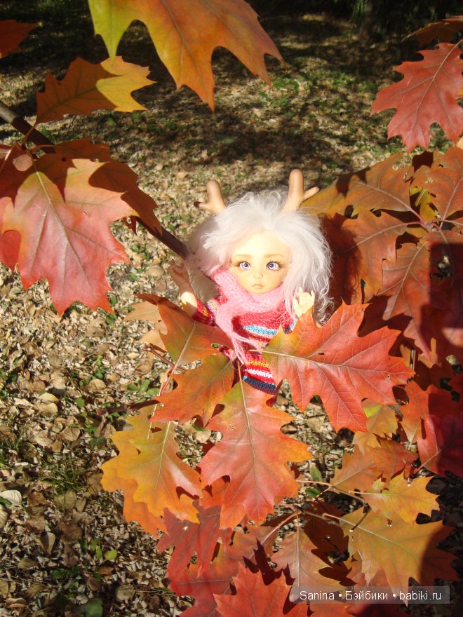 Погожий осенний денечек. Лялькина прогулка