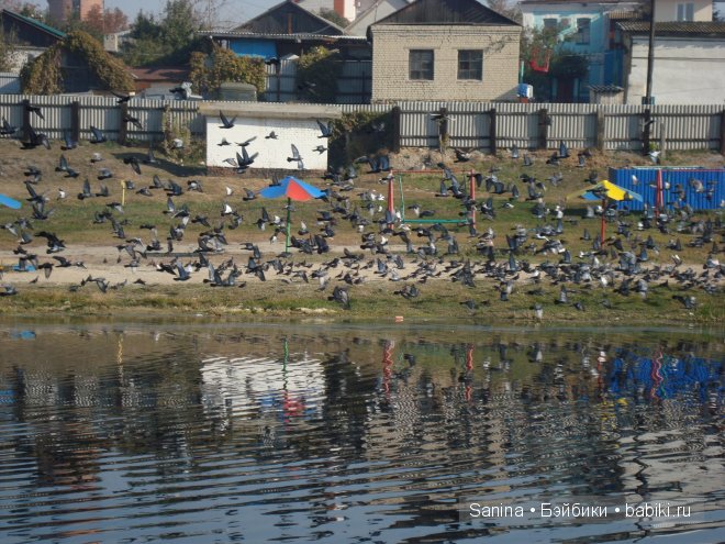 Погожий осенний денечек. Лялькина прогулка