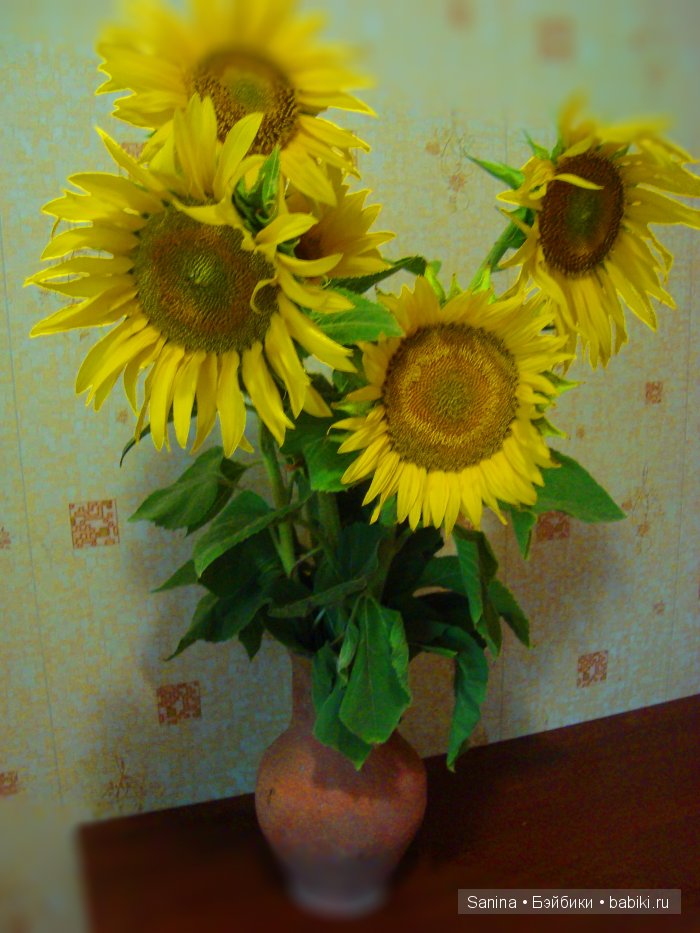 Аврора. или... Солнышко в подсолнушке. Реал пуки Soso | Бэйбики Аврора. или... Солнышко в подсолнушке. Реал пуки Soso