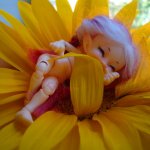 Аврора. или... Солнышко в подсолнушке. Реал пуки Soso