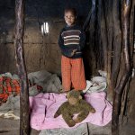 Дети и игрушки.