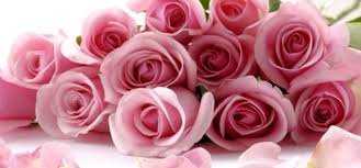 Моя мечта. Рассказ куклы — Проба пера: рассказы