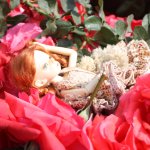 Выставка роз в Сеуле