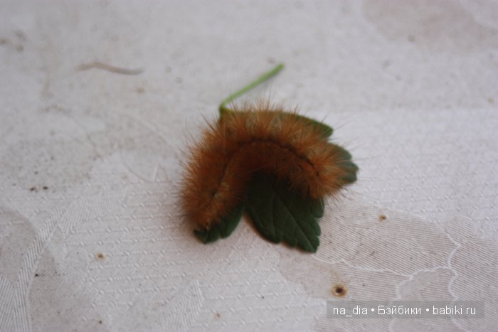 Милая садовница — Гибридизация кукол BJD (БЖД): пересадка головы (фото 3)