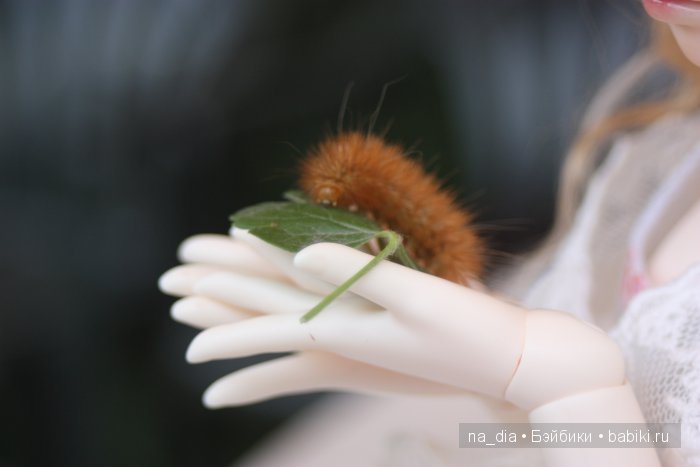 Милая садовница — Гибридизация кукол BJD (БЖД): пересадка головы (фото 4)