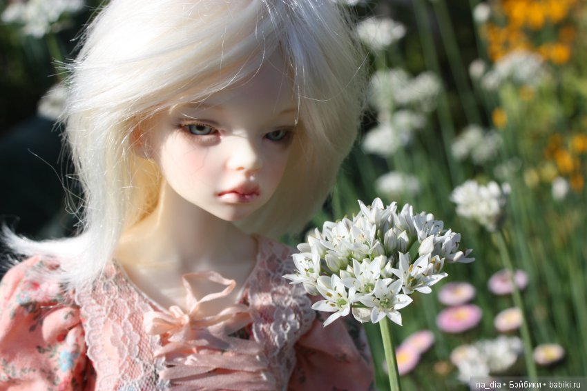 Продолжение лета — Куклы DIM (Doll in Mind): корейские BJD (БЖД) (фото 2)