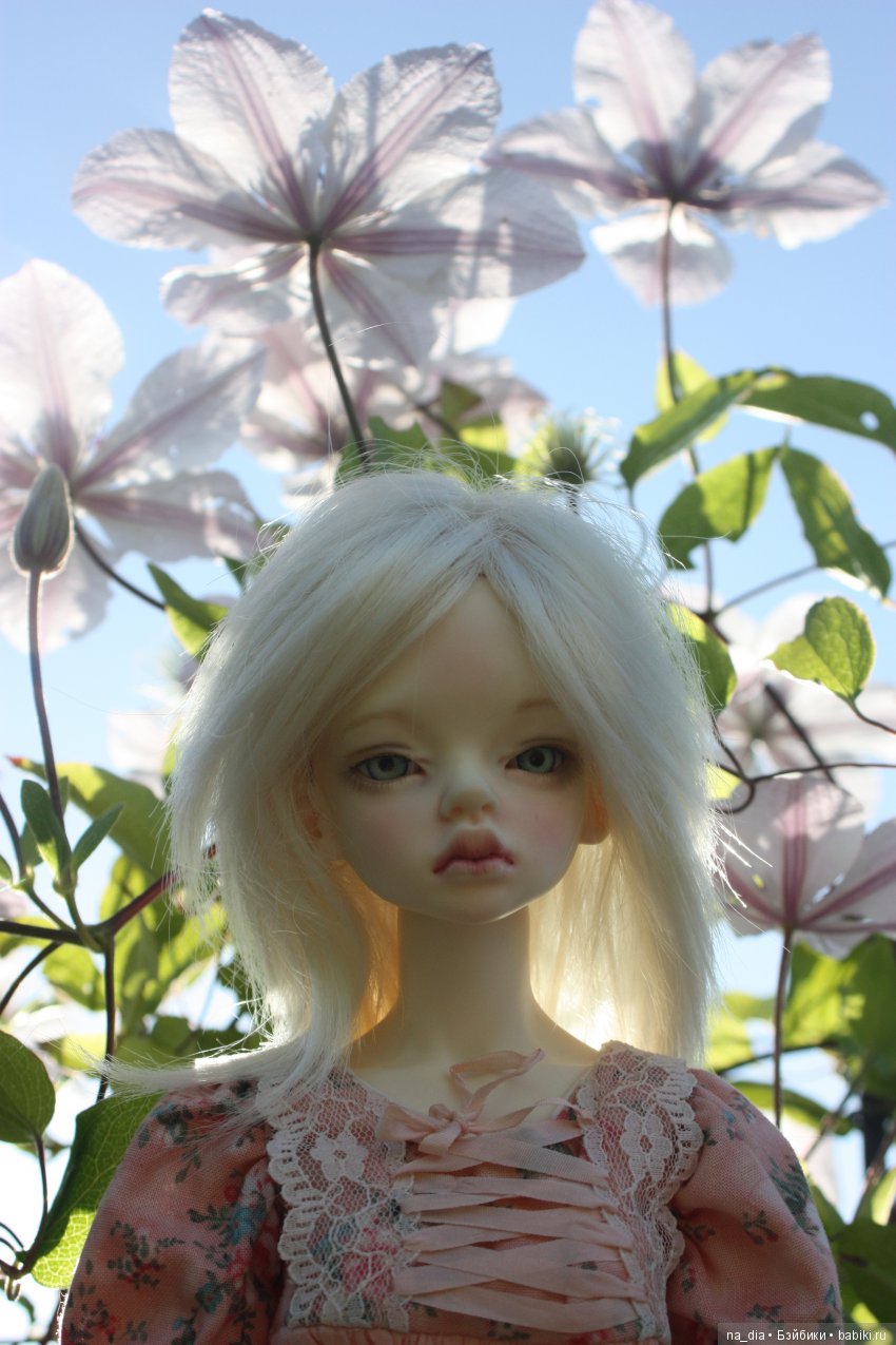 Продолжение лета — Куклы DIM (Doll in Mind): корейские BJD (БЖД) (фото 8)