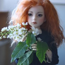 Наконец-то и у нас подобие весны