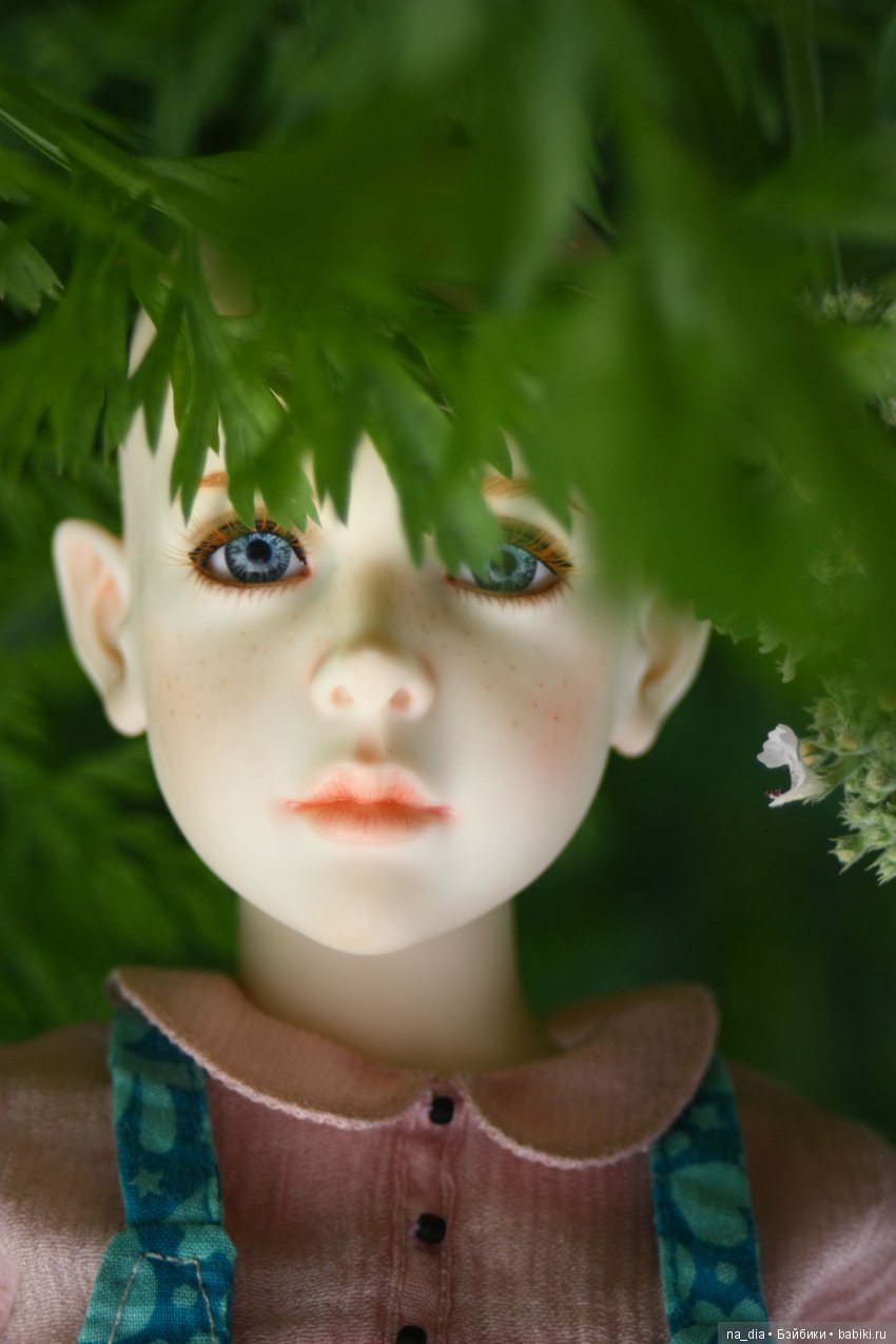 Ах этот сад - цветы, цветы, цветы. Прогулки Робины в саду (фото 2)