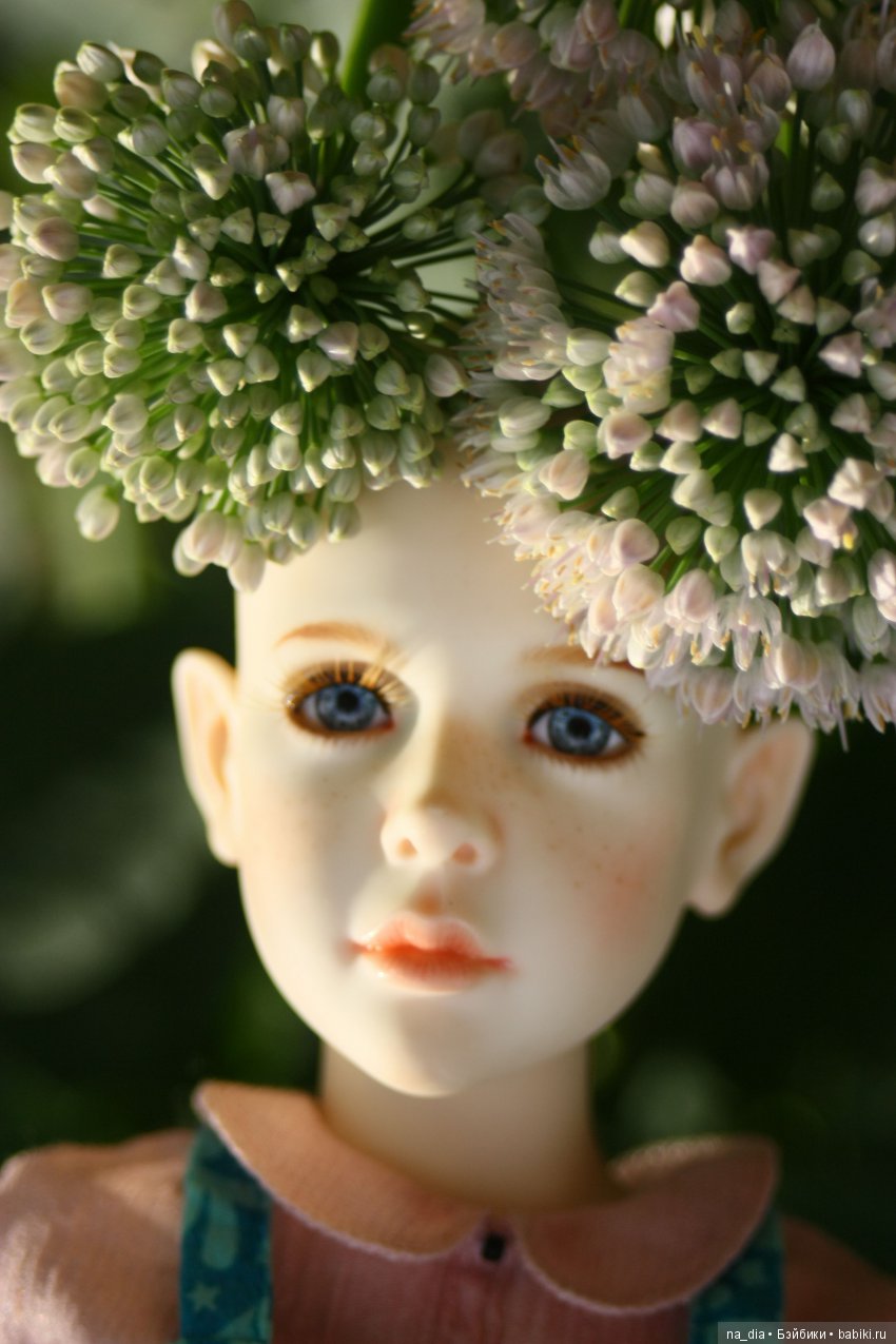 Ах этот сад - цветы, цветы, цветы. Прогулки Робины в саду (фото 4)